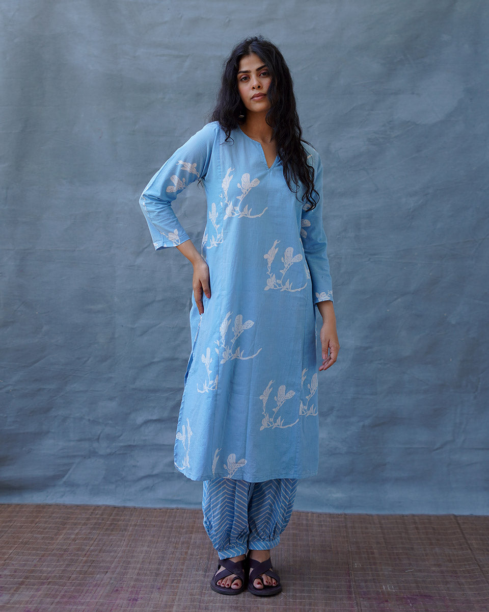 Tia Blue Hand Block Printed Kurta Set-BAD