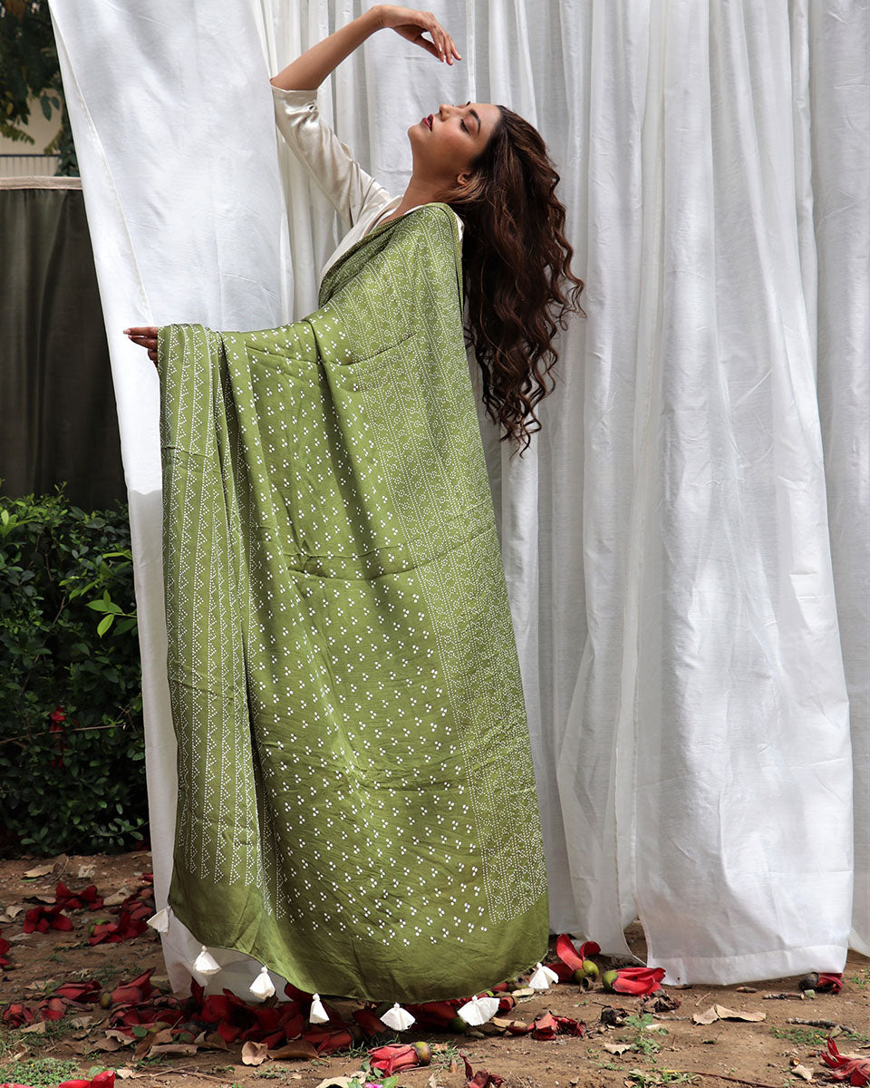 Green Modal Silk Blockprinted Saree - Kite