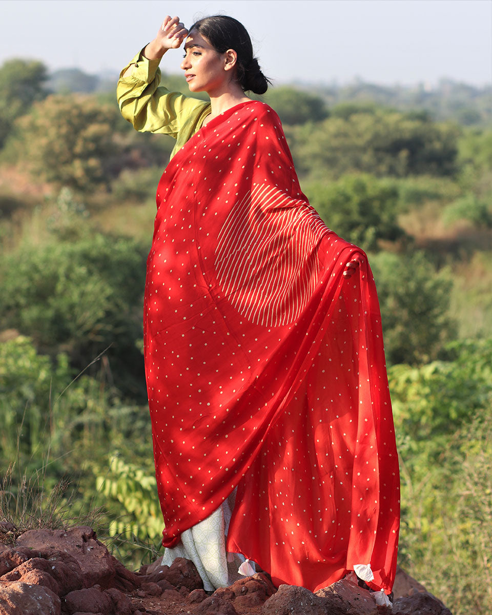 Red-Pista Blockprinted Modal Silk Saree - Rang