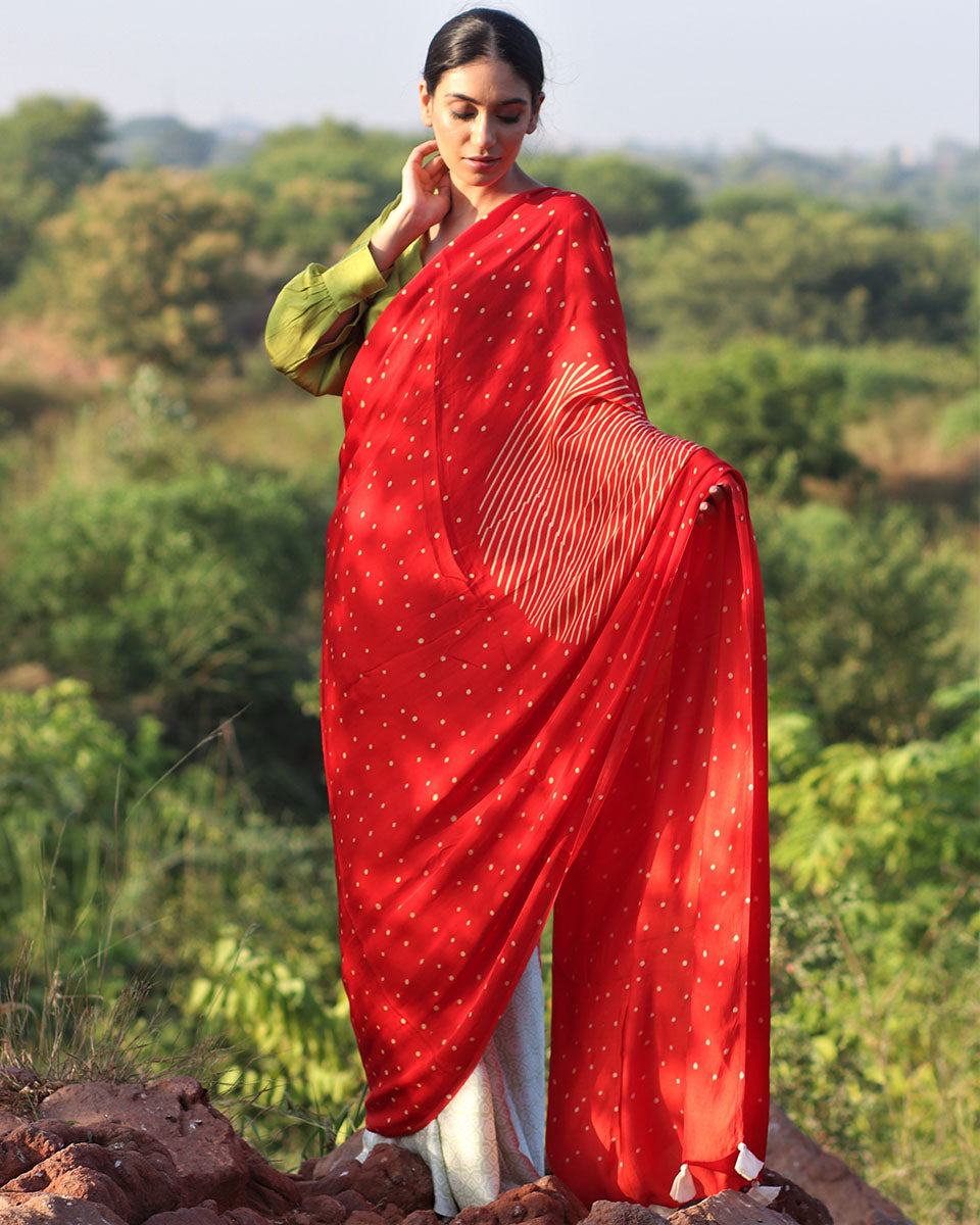 Red-Pista Blockprinted Modal Silk Saree - Rang