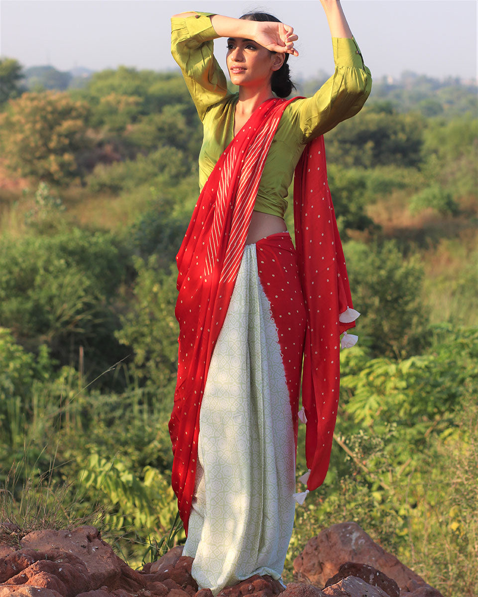 Red-Pista Blockprinted Modal Silk Saree - Rang