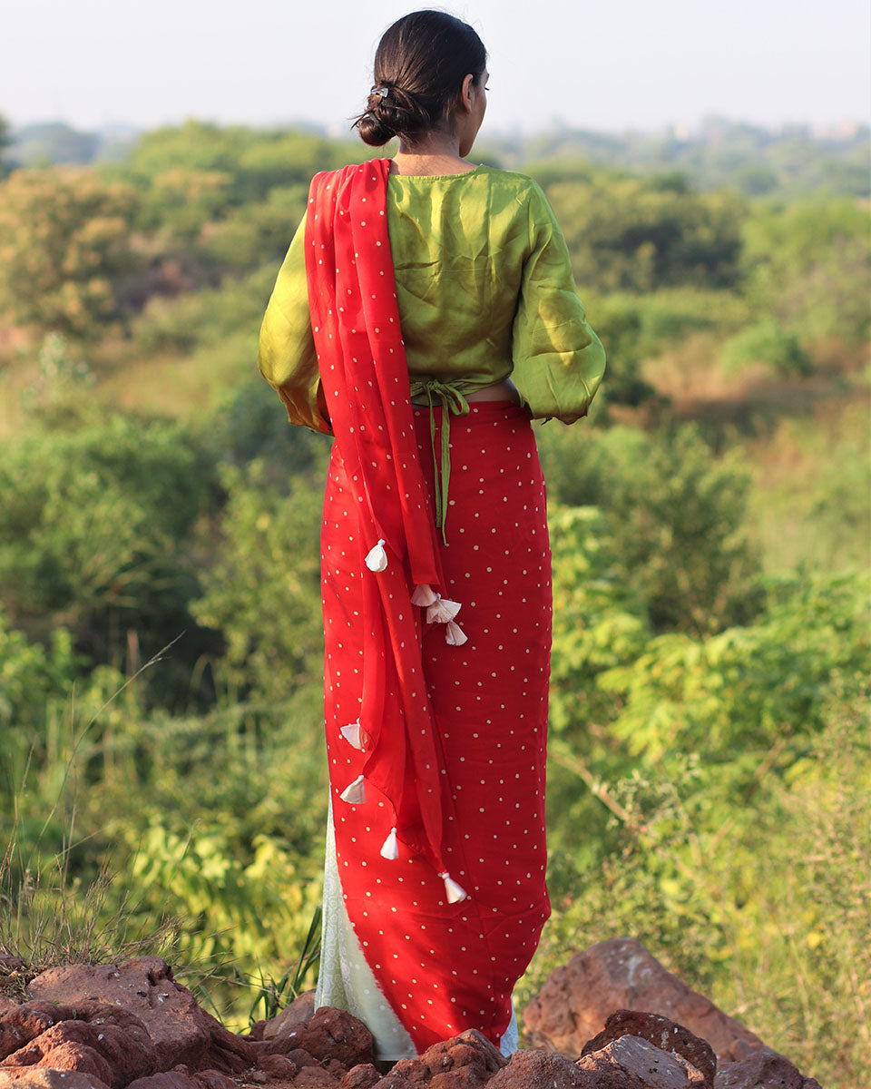 Red-Pista Blockprinted Modal Silk Saree - Rang